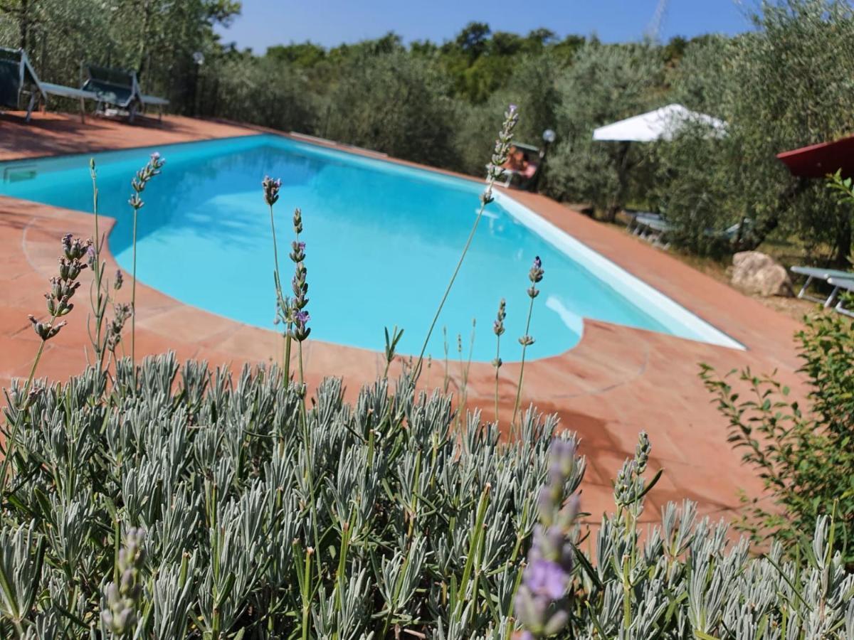 Agriturismo "Crocino In Chianti" Gaiole in Chianti Exterior foto