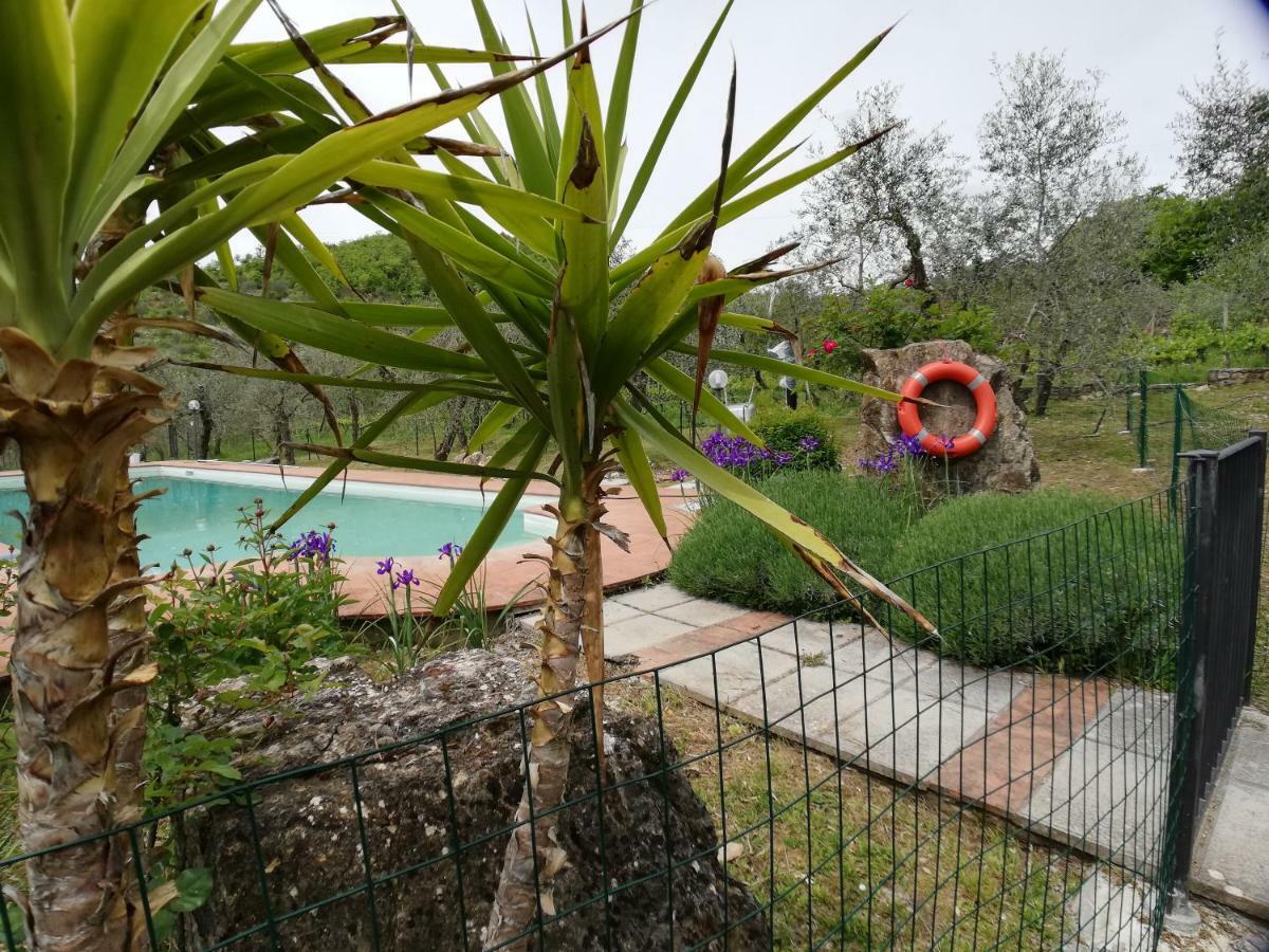 Agriturismo "Crocino In Chianti" Gaiole in Chianti Exterior foto