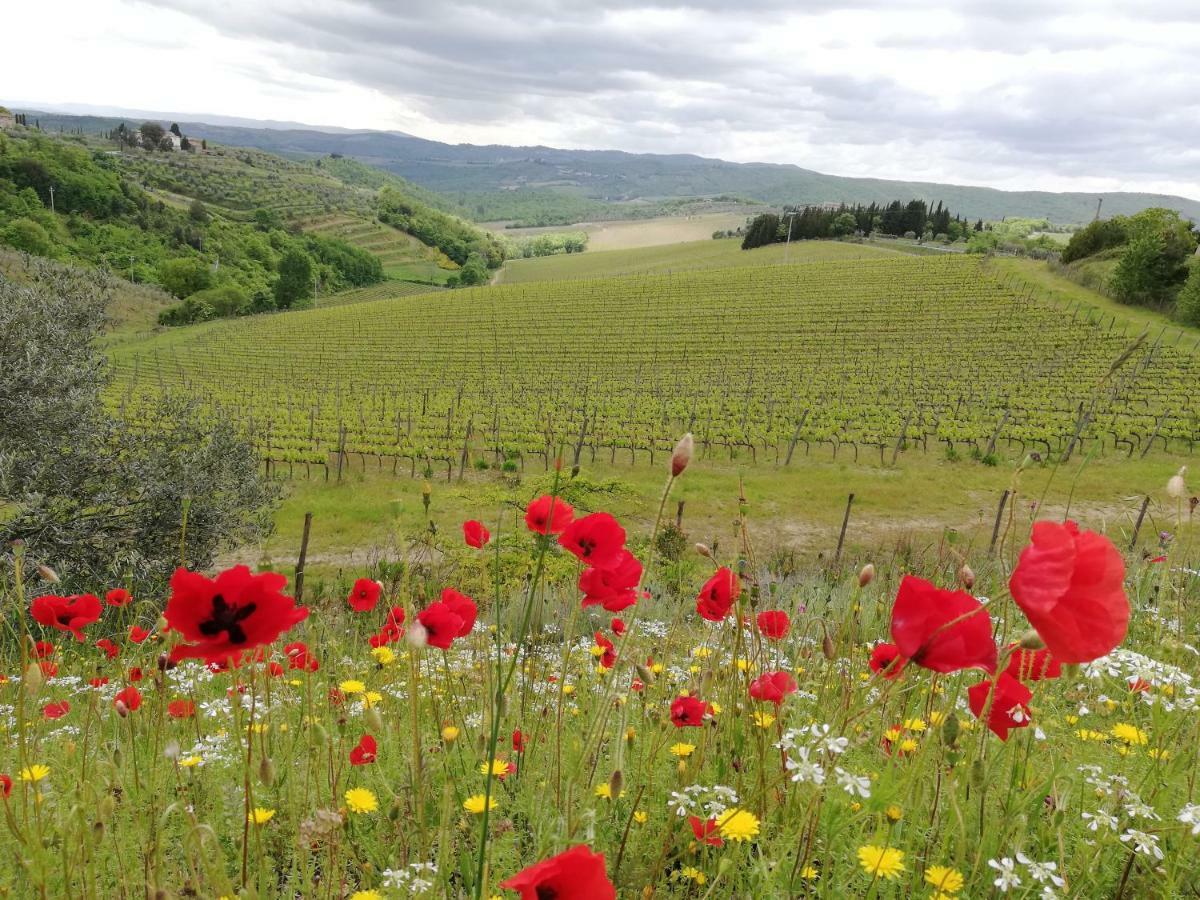 Agriturismo "Crocino In Chianti" Gaiole in Chianti Exterior foto