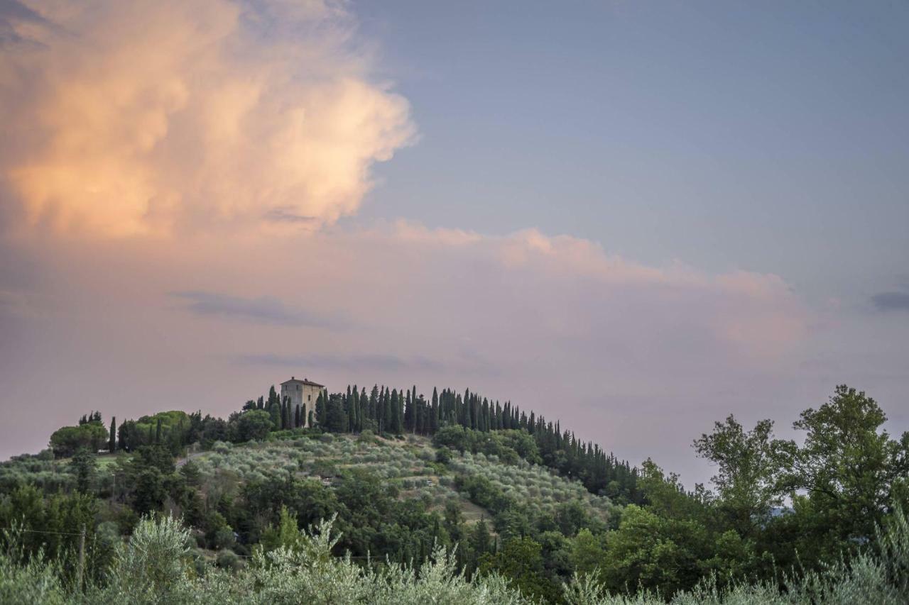 Agriturismo "Crocino In Chianti" Gaiole in Chianti Exterior foto